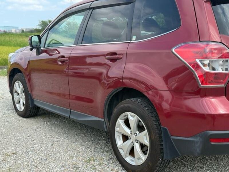 FORESTER