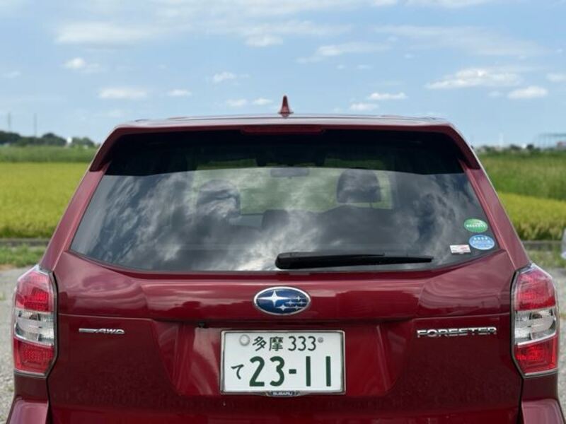 FORESTER
