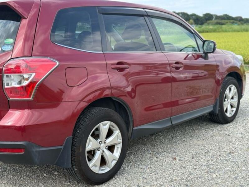 FORESTER