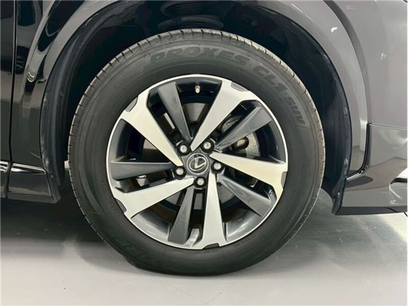 NX