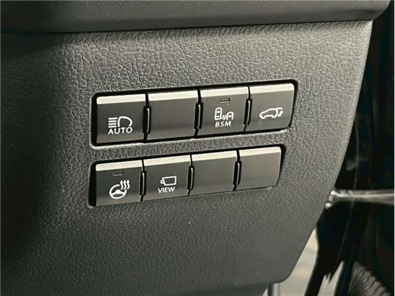NX