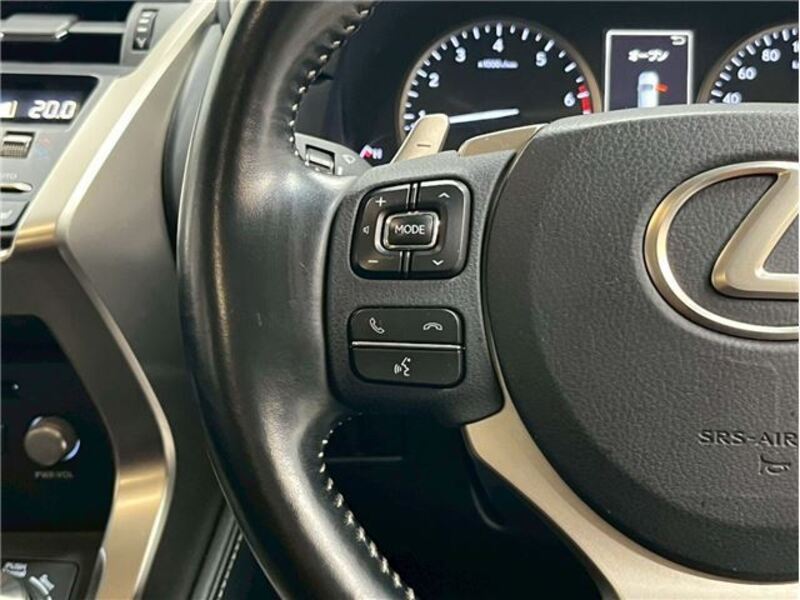 NX