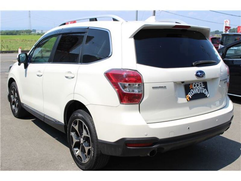 FORESTER