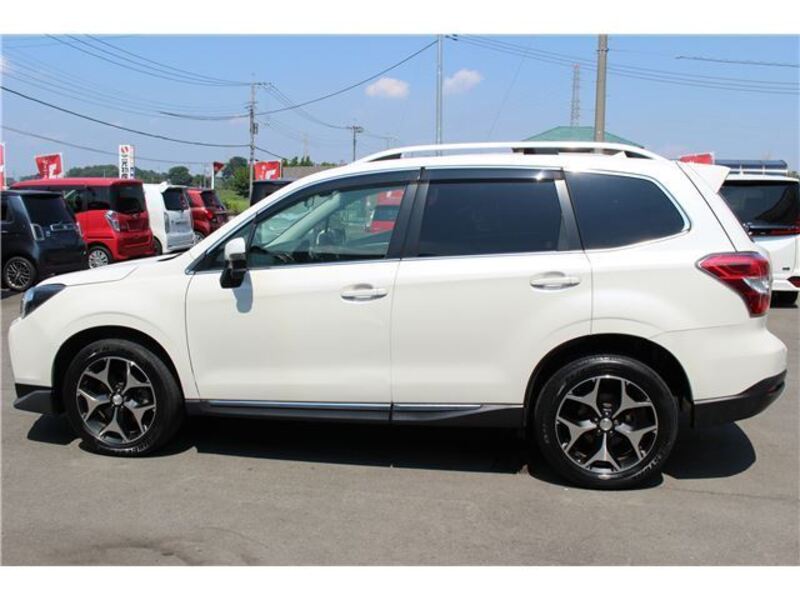 FORESTER