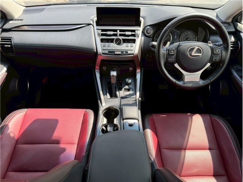 NX