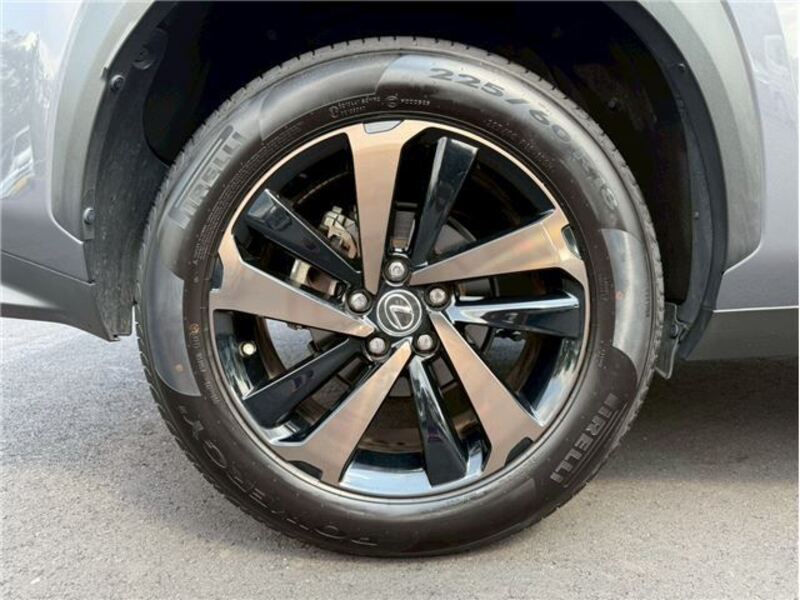 NX