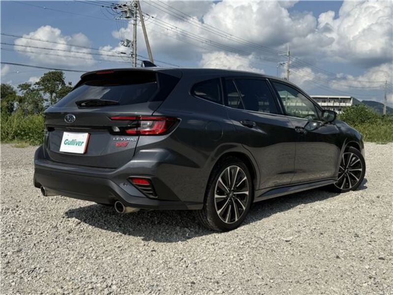 LEVORG