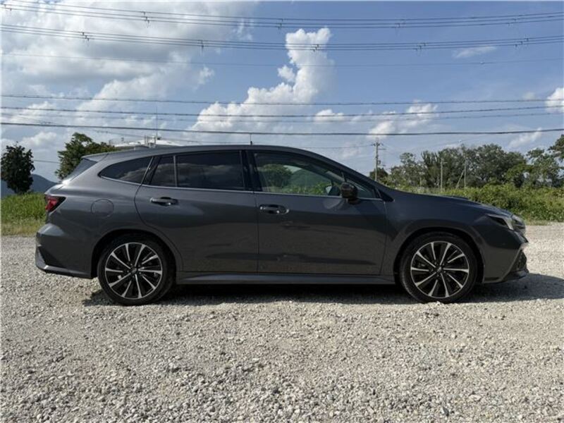 LEVORG