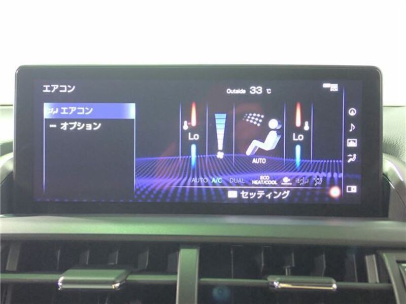 NX