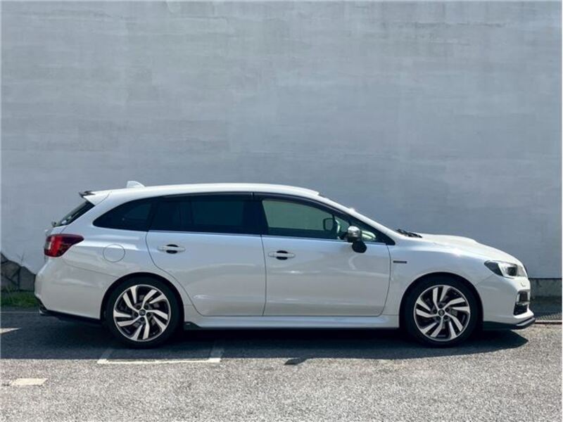 LEVORG