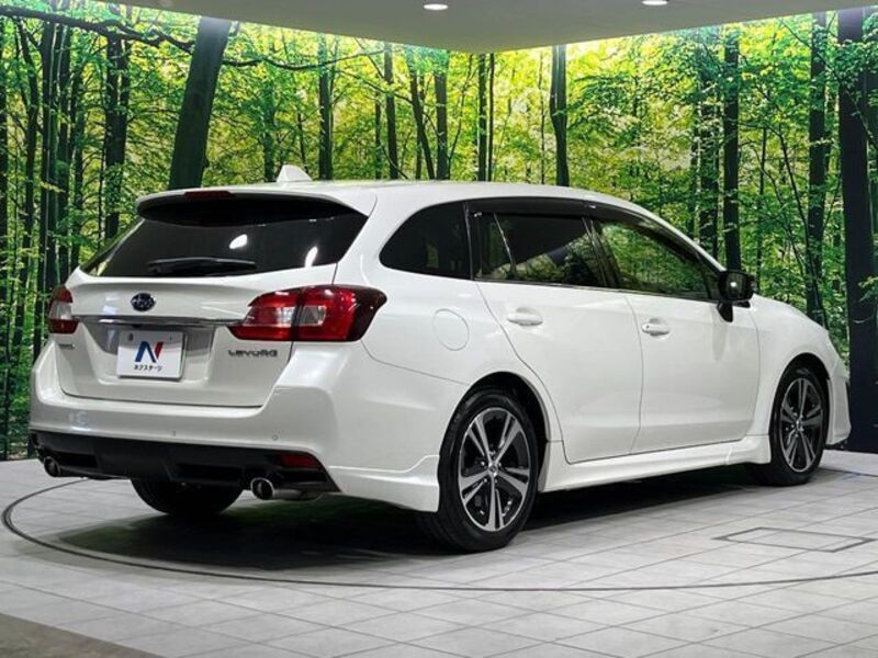 LEVORG