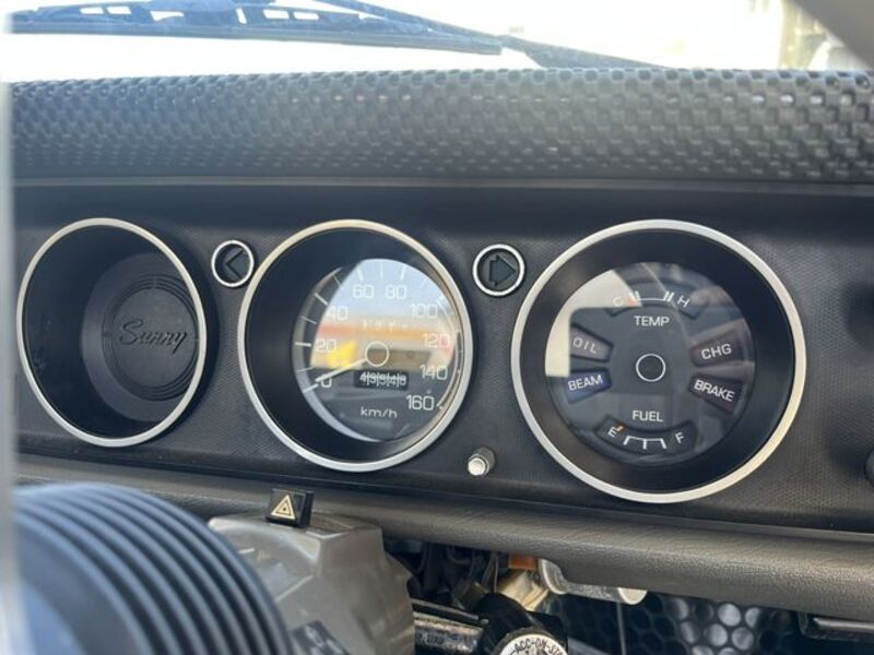 SUNNY TRUCK