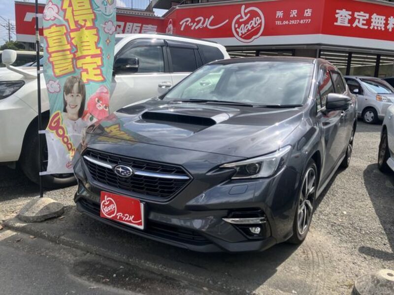 LEVORG-0