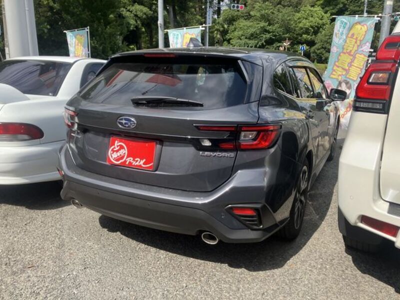 LEVORG