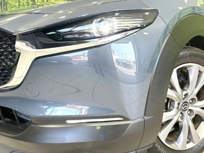 CX-30