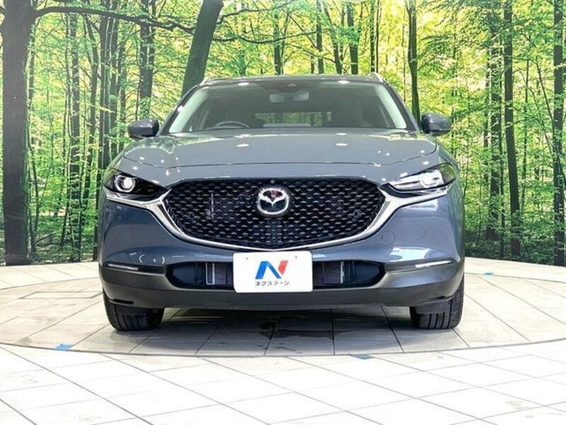CX-30