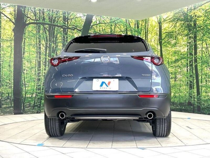 CX-30