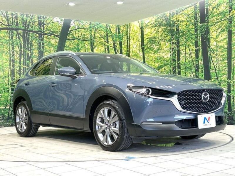 CX-30
