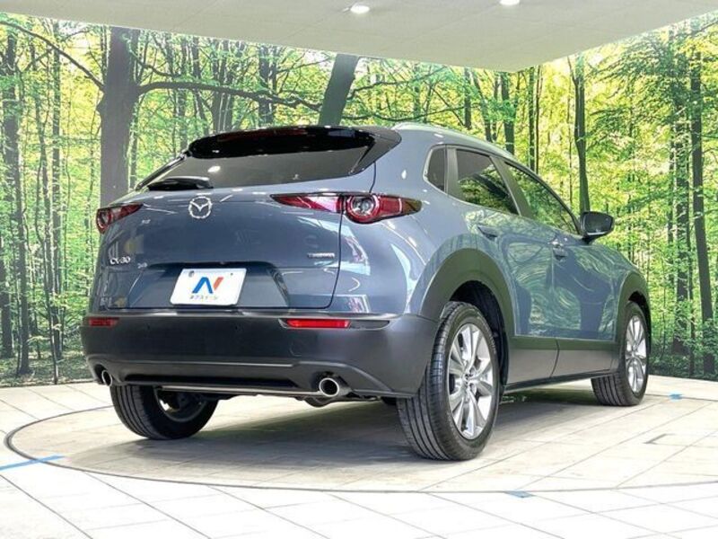 CX-30