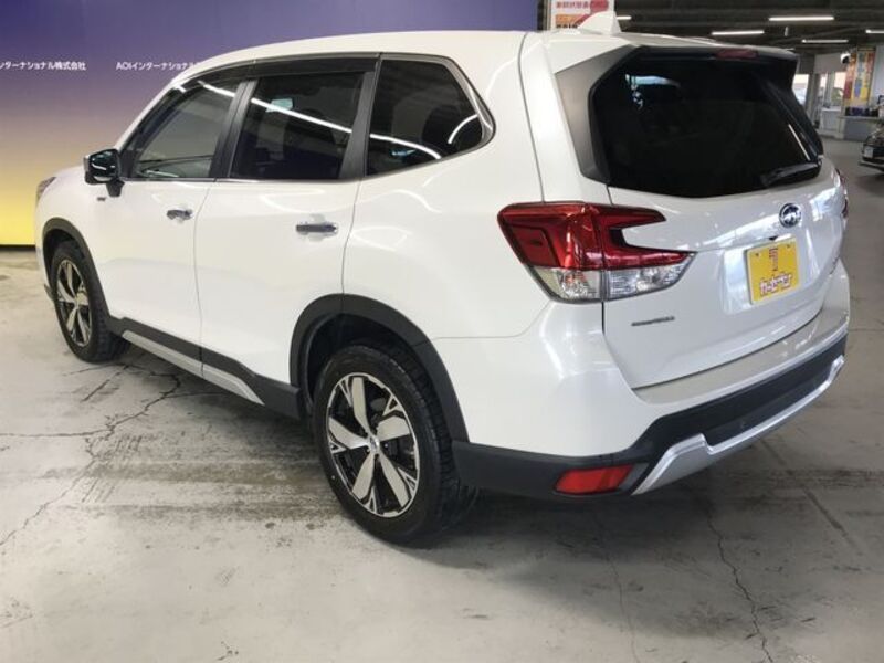 FORESTER