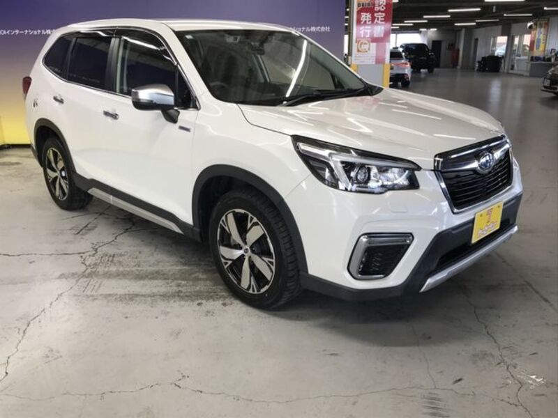FORESTER