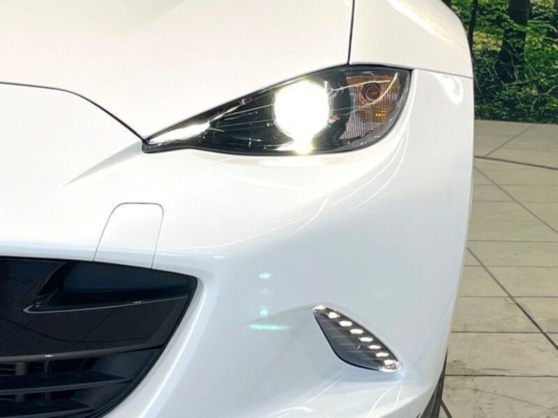 ROADSTER RF