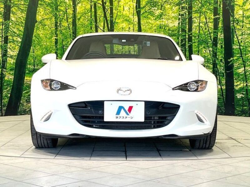 ROADSTER RF
