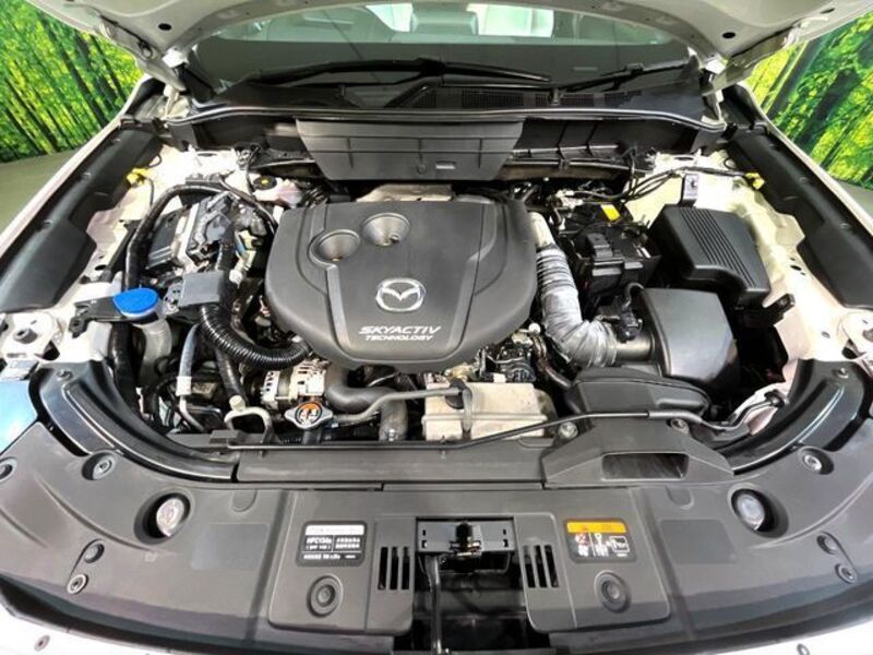 CX-8