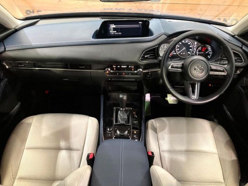 CX-30