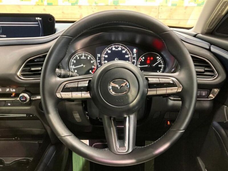 CX-30