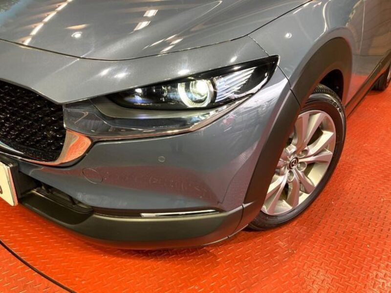 CX-30