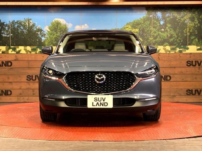 CX-30