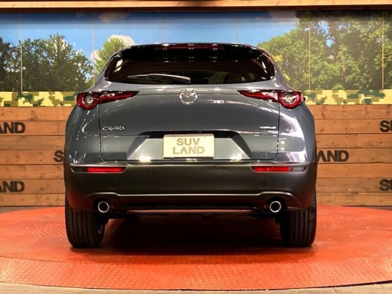 CX-30