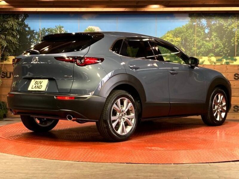 CX-30