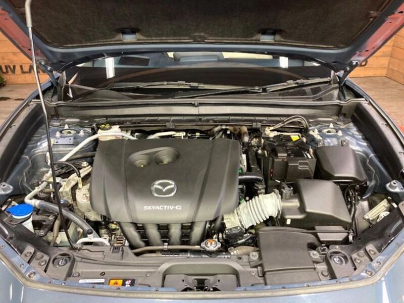 CX-30