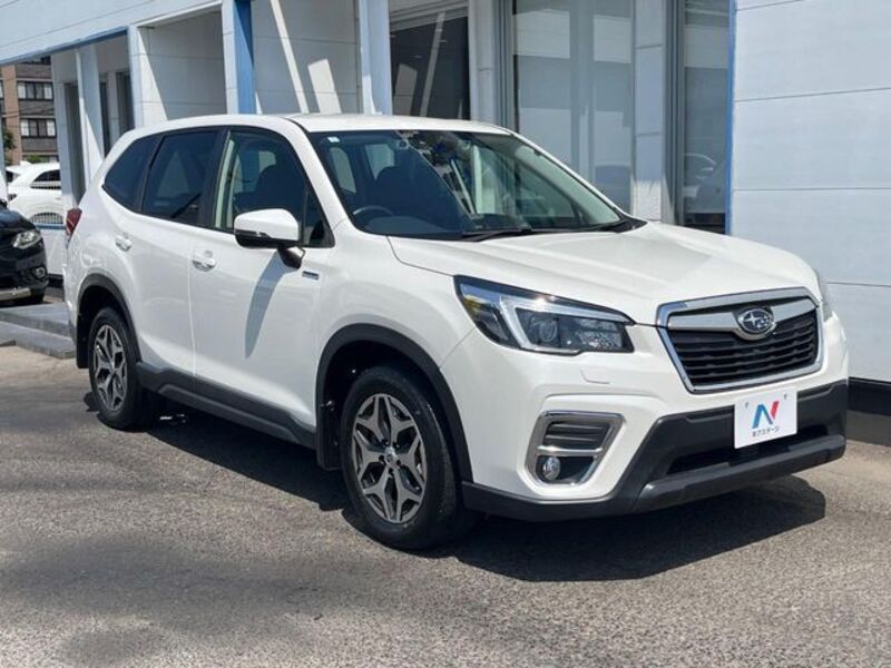 FORESTER