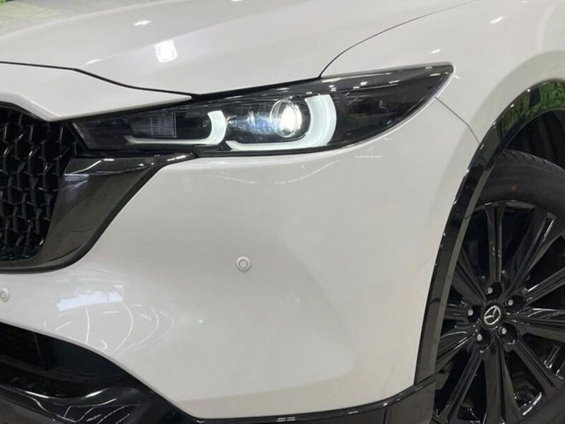 CX-8