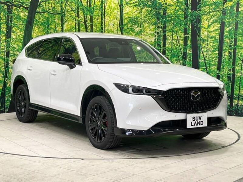 CX-8