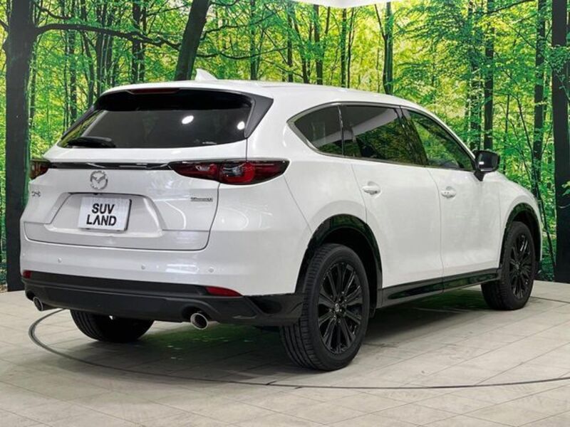 CX-8