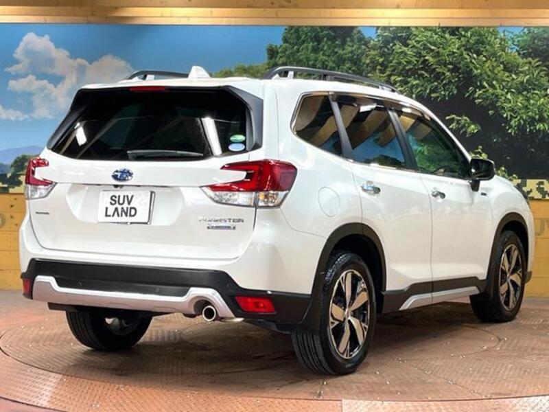 FORESTER