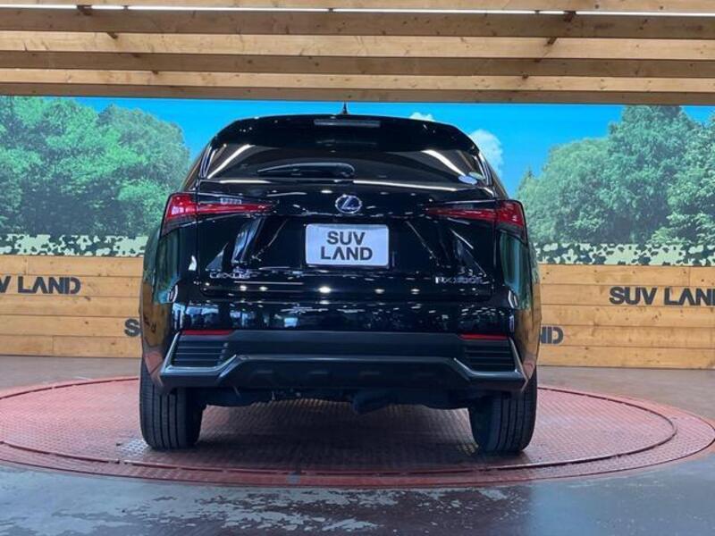 NX