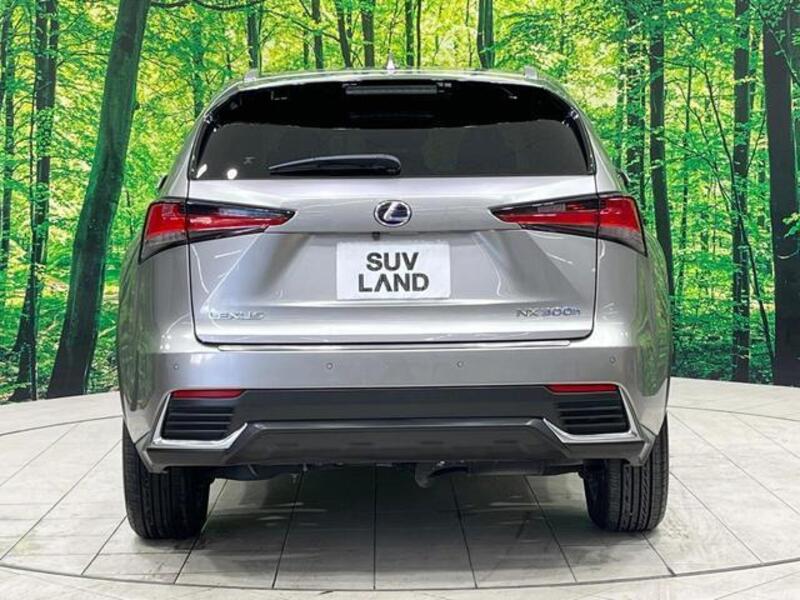 NX