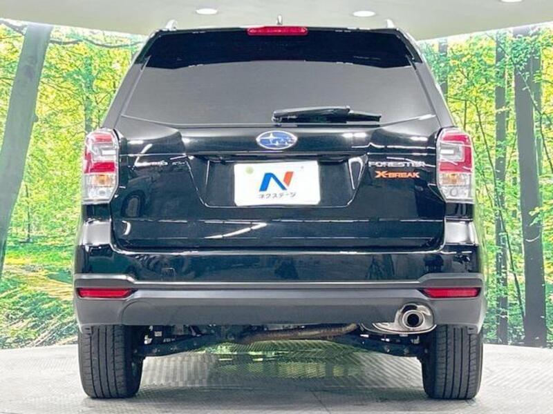 FORESTER