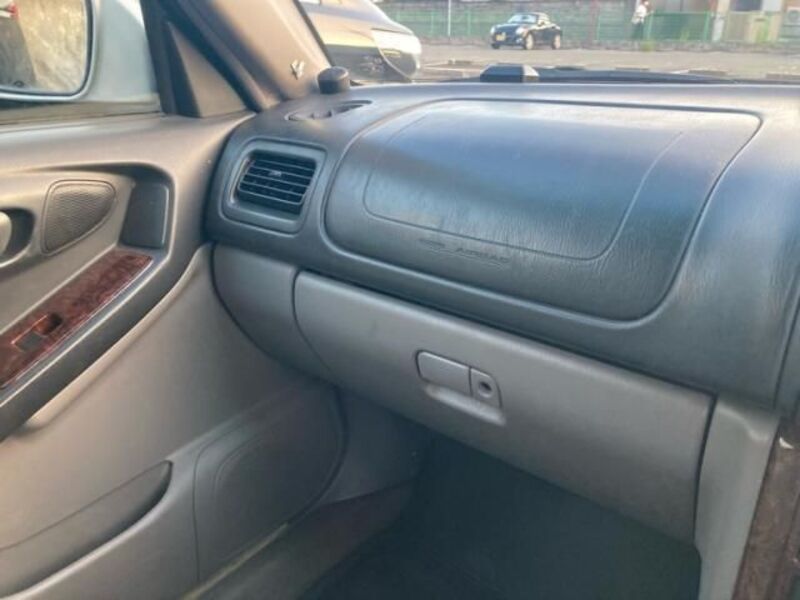 FORESTER