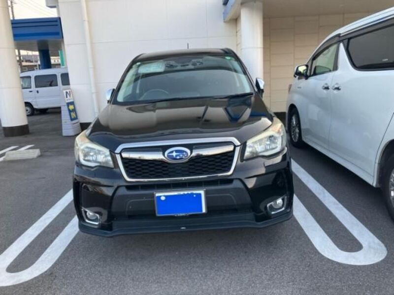 FORESTER