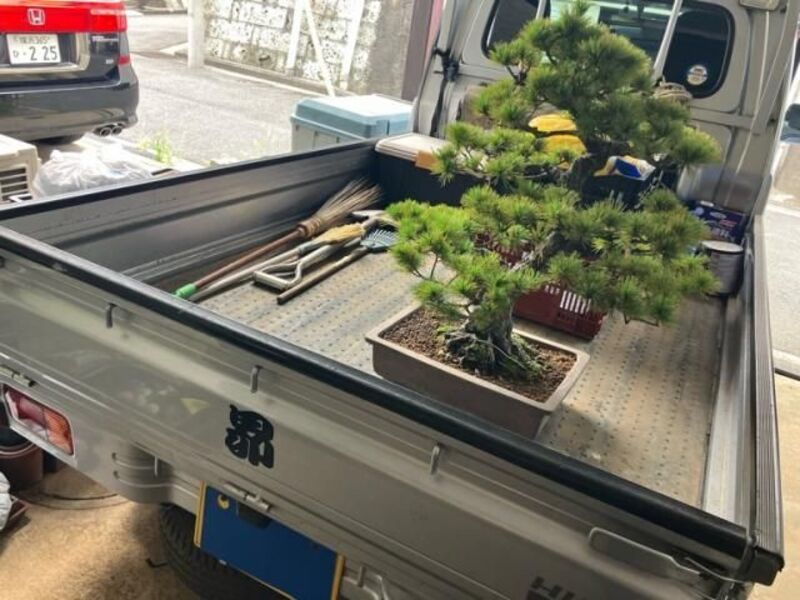 HIJET TRUCK
