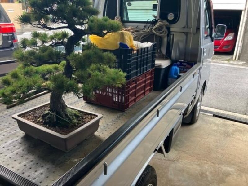 HIJET TRUCK