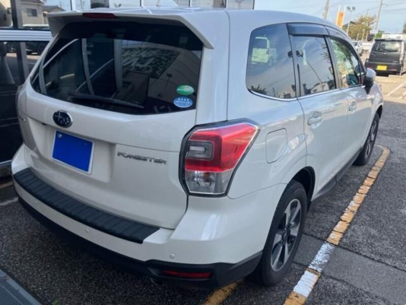FORESTER