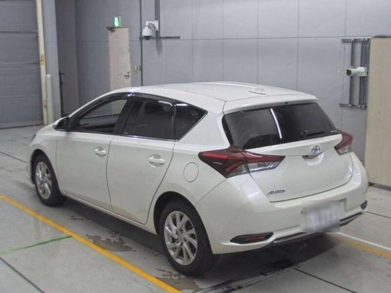 AURIS