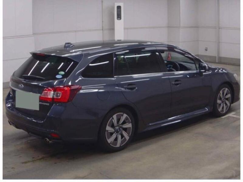 LEVORG
